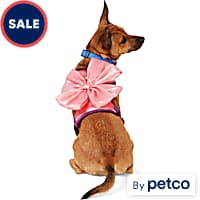 Dog Harnesses Petco