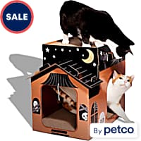 Halloween cat scratch top house