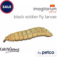 Calciworms
