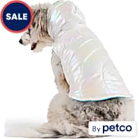 Petco dog 2024 christmas sweaters