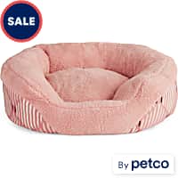 Kong dog sale bed petco