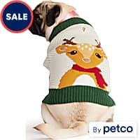 Dog Christmas Sweaters Outfits for the Holidays Petco