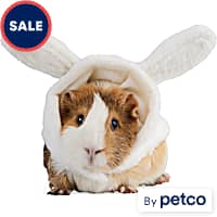 Small Animal Clothes Leashes Rabbits Guinea Pigs Petco
