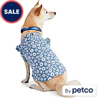 Petco clothes best sale