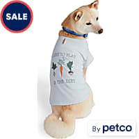 Big sister dog discount shirt petco