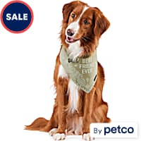 Petco dog bandanas shop