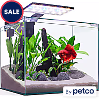 Imagitarium Glass Betta Aquarium Kit