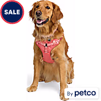 EveryYay Step in Dog Harness