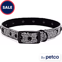 YOULY Black Stud Dog Collar