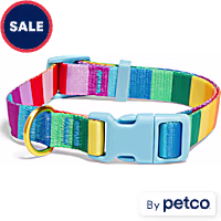 YOULY Pride Rainbow Stripe Dog Collar