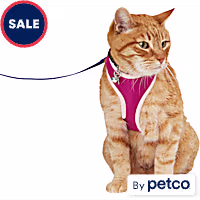 YOULY Updated Mesh Cat Harness & Leash Set