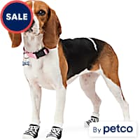 Dog shoes for summer petco top