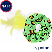 Leaps & Bounds Bungee Ring Assorted Cat Toy