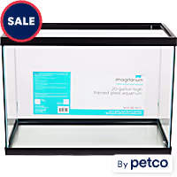 Imagitarium 20 Gallon High Open-Glass Aquarium Tank