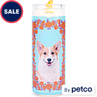 Bootique Dog Candle Blue Rubber Dog Toy