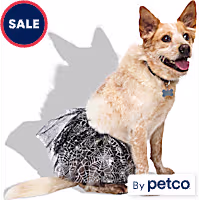 Bootique Sparkly Spiderweb Tutu Pet Skirt