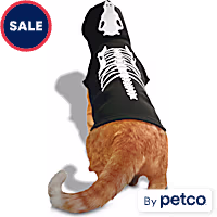 Bootique X-Ray Skeleton Halloween Cat Hoodie