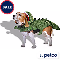 Bootique Dinosaur Hooded Pet Halloween Costume