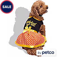 Bootique Wicked Sweet Candy Corn Pet Dress