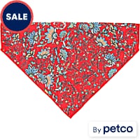 Hooey Nomad Dog Bandana