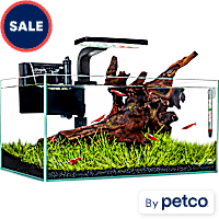 Imagitarium Shallow Glass Aquarium Kit with Lighting, Filtration & Accessories