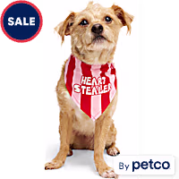 YOULY Heart Stealer Dog Bandana