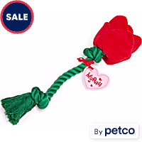 YOULY Rose Plush Rope Dog Toy