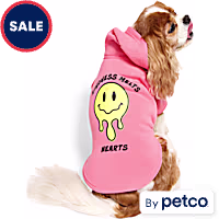 YOULY Pop Art Kindness Melts Hearts Pet Hoodie