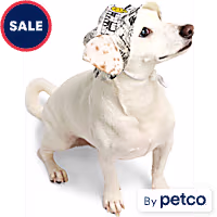YOULY Pop Art Smiley Pet Bucket Hat