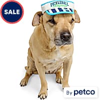YOULY Pickleball Pet Visor