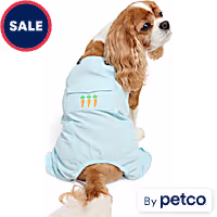 YOULY Easter Pet Overalls