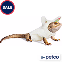 YOULY Easter Bunny Bearded Dragon Hoodie