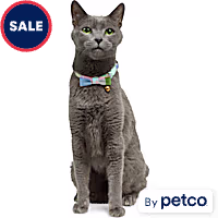 YOULY Easter Breakaway Cat Collar