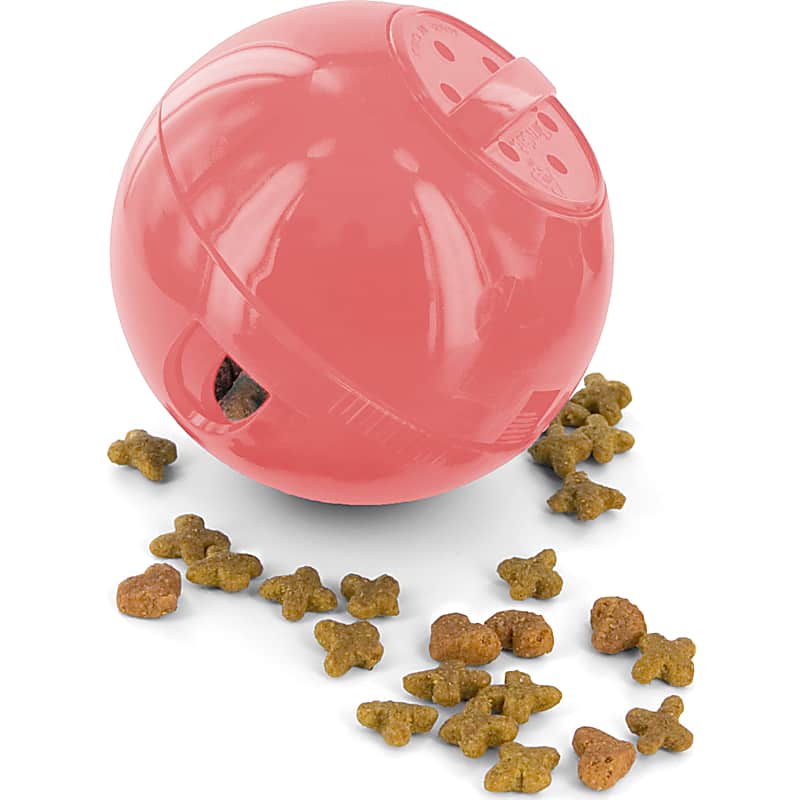 Trixie 5-Meal Automatic Pet Feeder