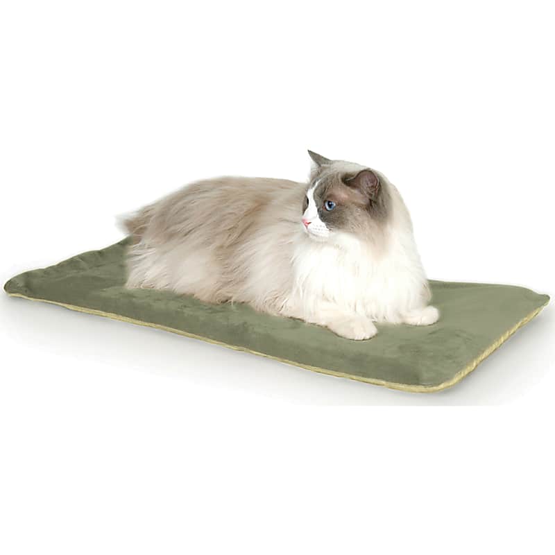 Aspen Pet Oval Pet Bed