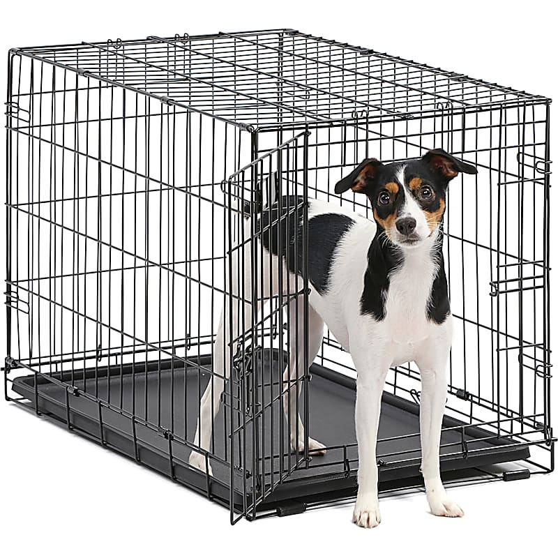 Carlson Pet Products Design Studio Pet Gate