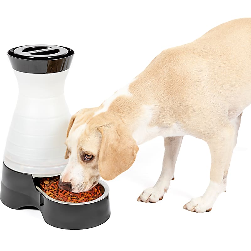 Outward Hound Slow Feeder Maze Bowl