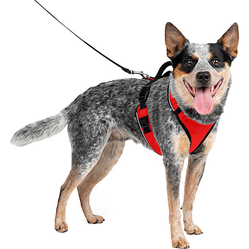 Outward Hound PupSaver Booster Car Seat