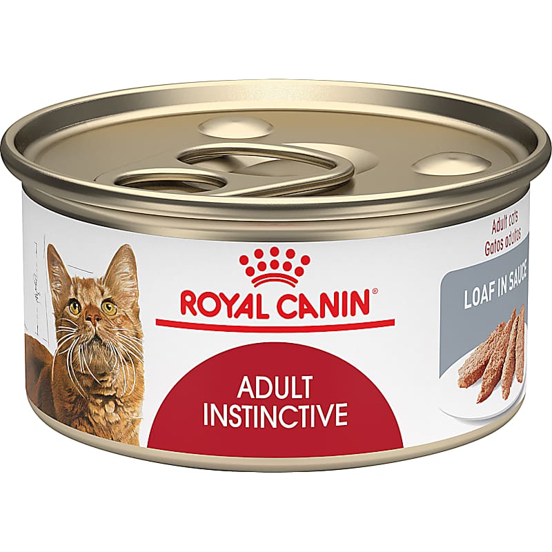 I and Love and You Lovely Lamb Stew Wet Cat Food
