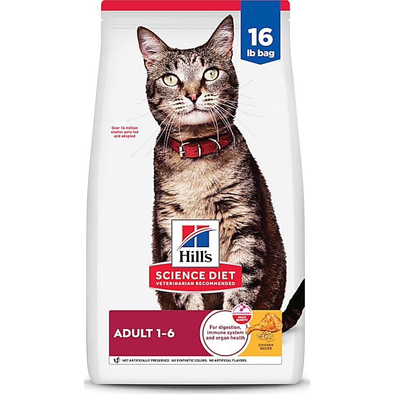 American Journey Grain-Free Salmon Dry Cat Food