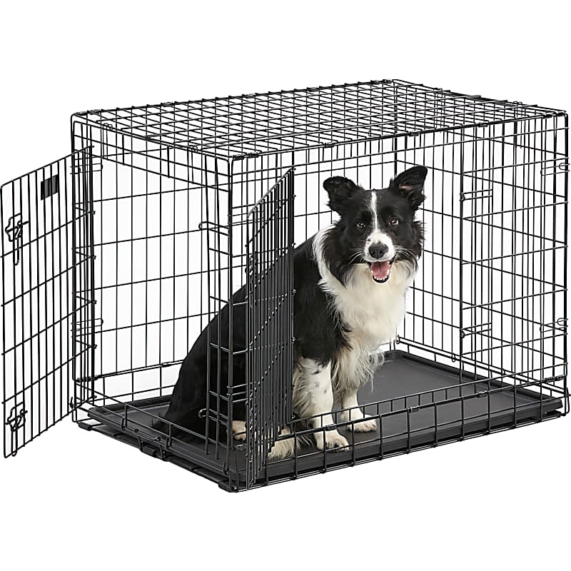 Petmate Aspen Pet Soft-Sided Pet Carrier Crate