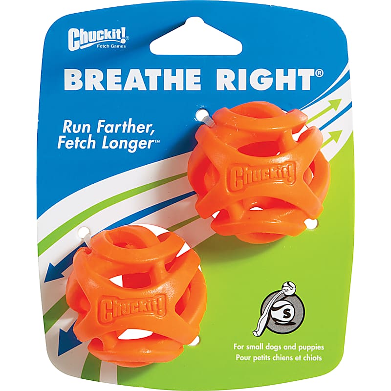 KONG Classic Dog Toy