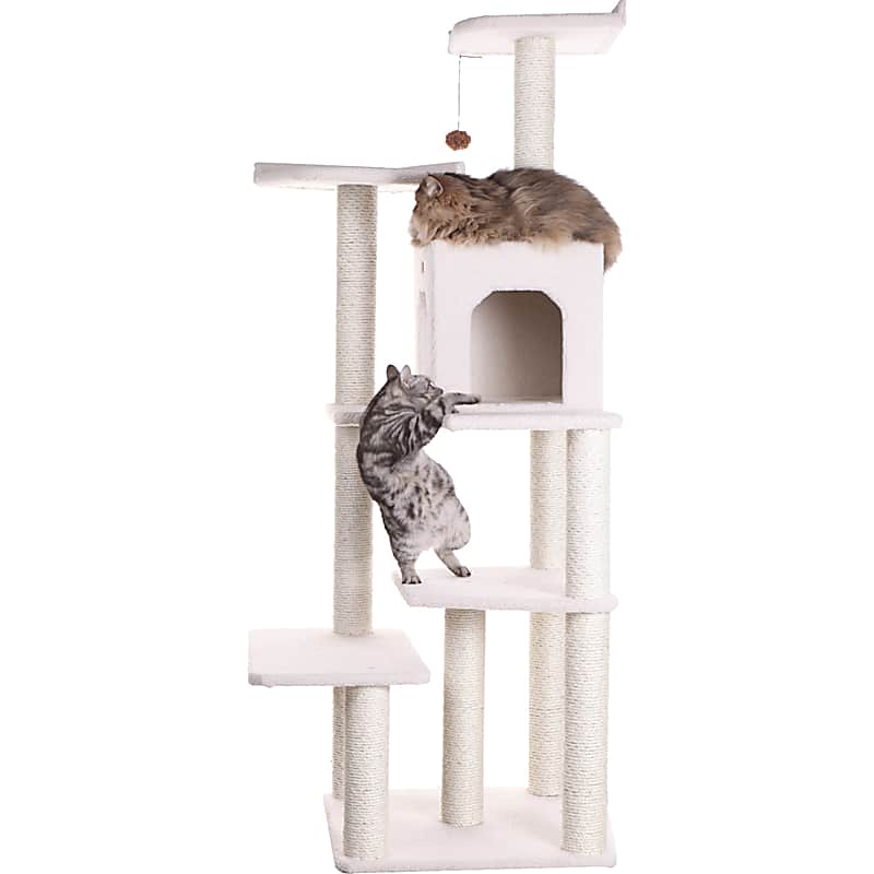 Frisco 52-Inch Cat Tree & Condo