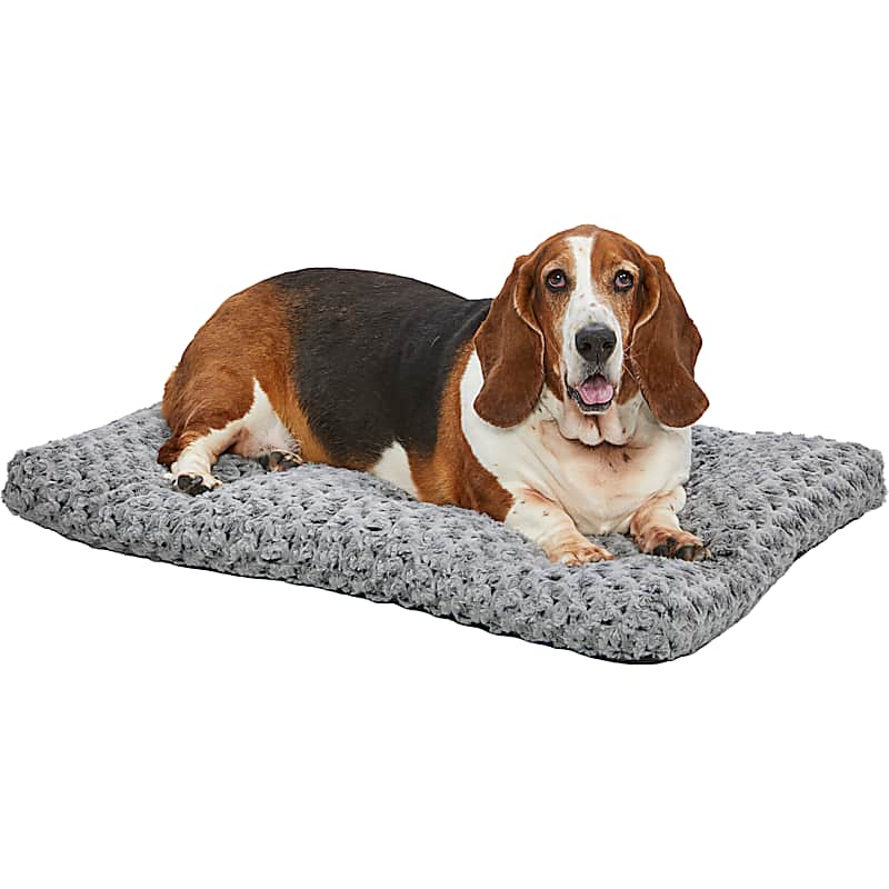 Frisco Plush Calming Cat Bed with Bolster