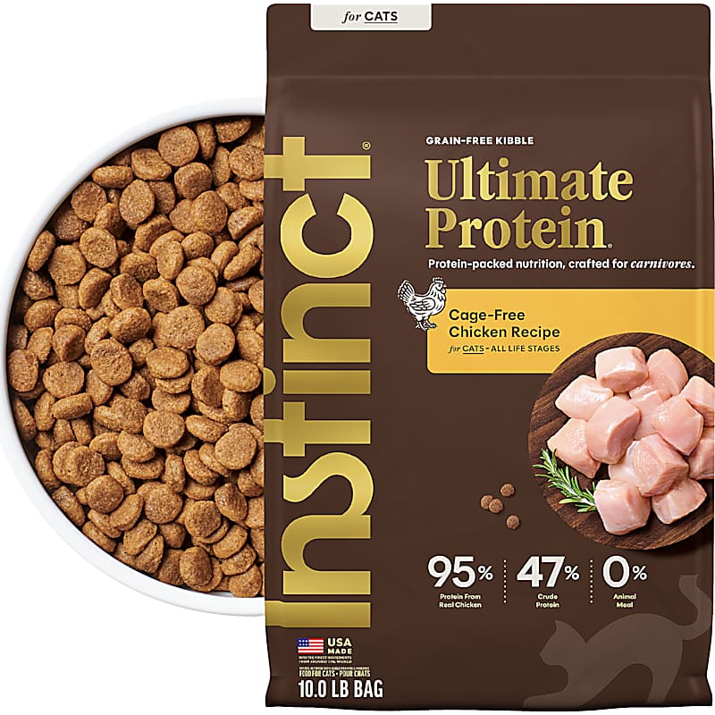 Nature's Recipe Grain-Free Salmon, Sweet Potato & Pumpkin Dry Cat Food