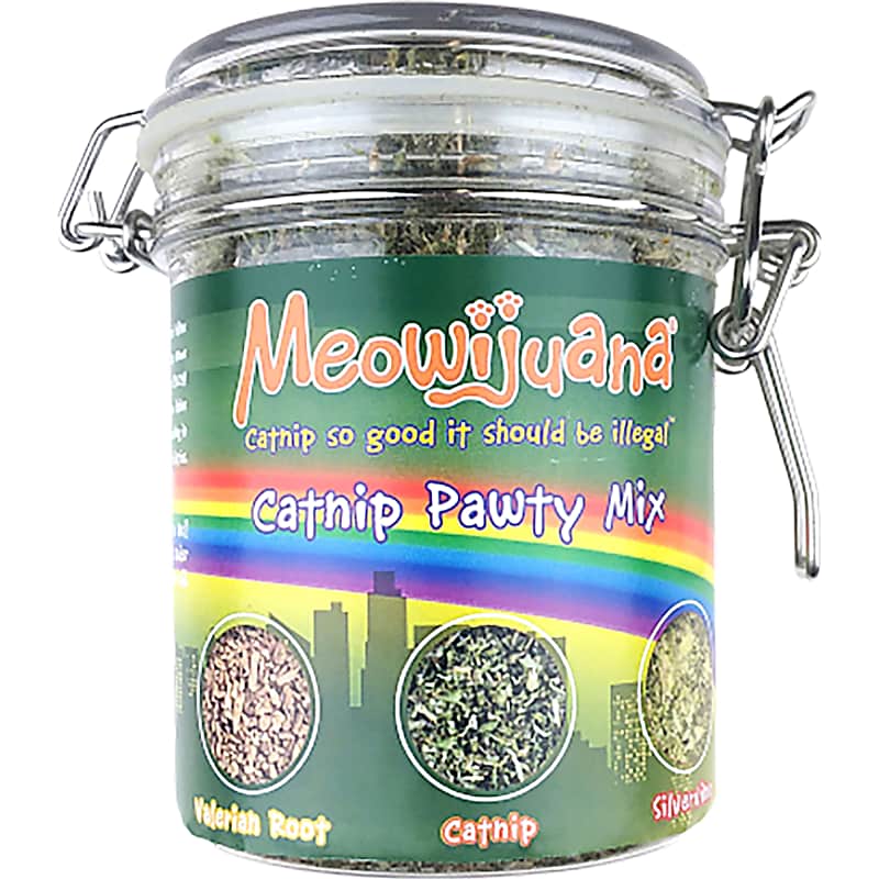 Cat Dancer Products Rainbow Cat Charmer