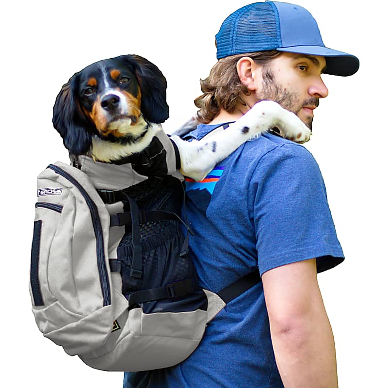 Petmate Color Splash Kennel Carrier