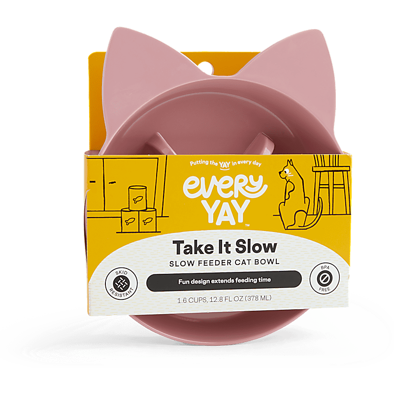 PetSafe Drinkwell 360 Pet Fountain