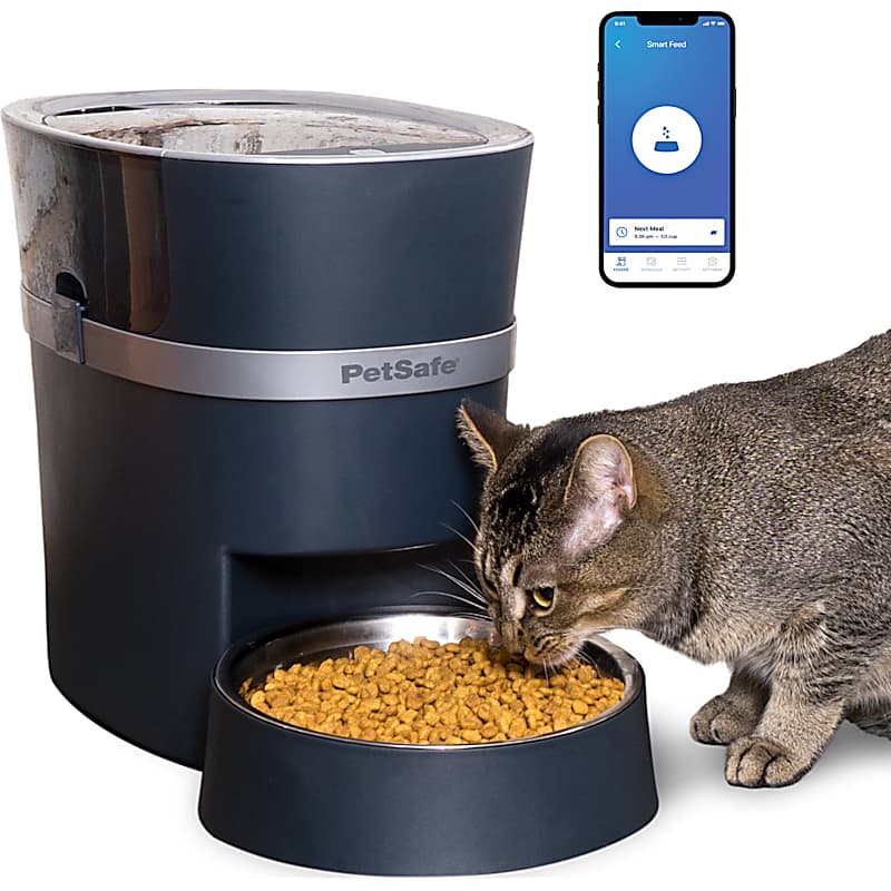 Bergan Elevated Auto-Wata Pet Bowl