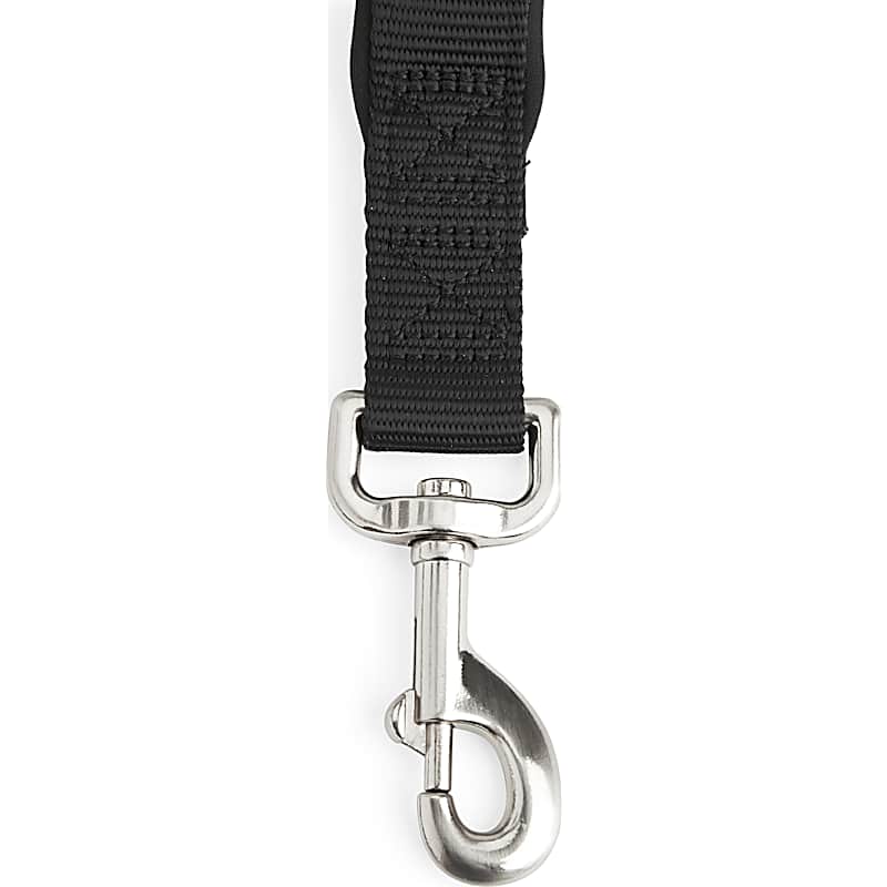 Frisco Solid Nylon Dog Collar